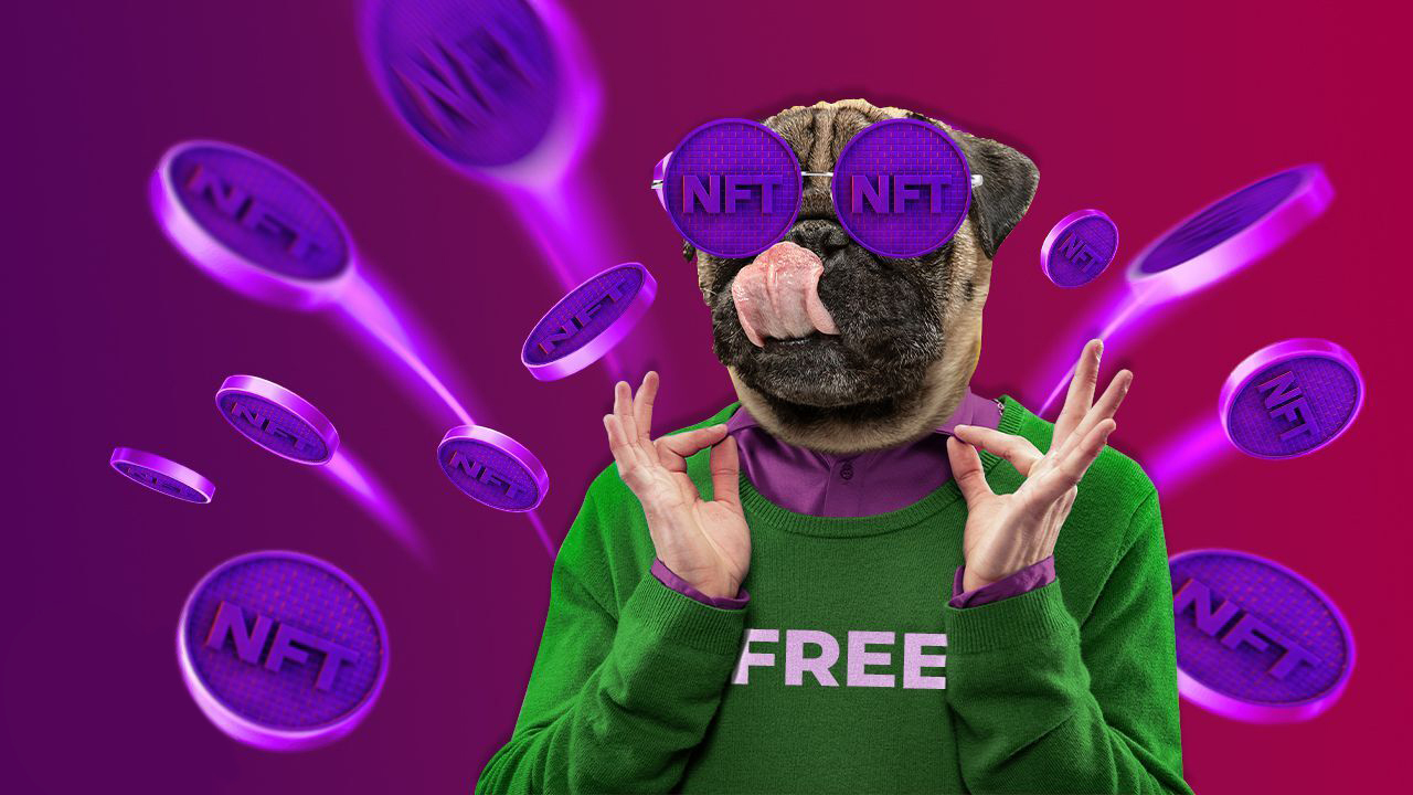 Free NFT drops, how to enjoy them?